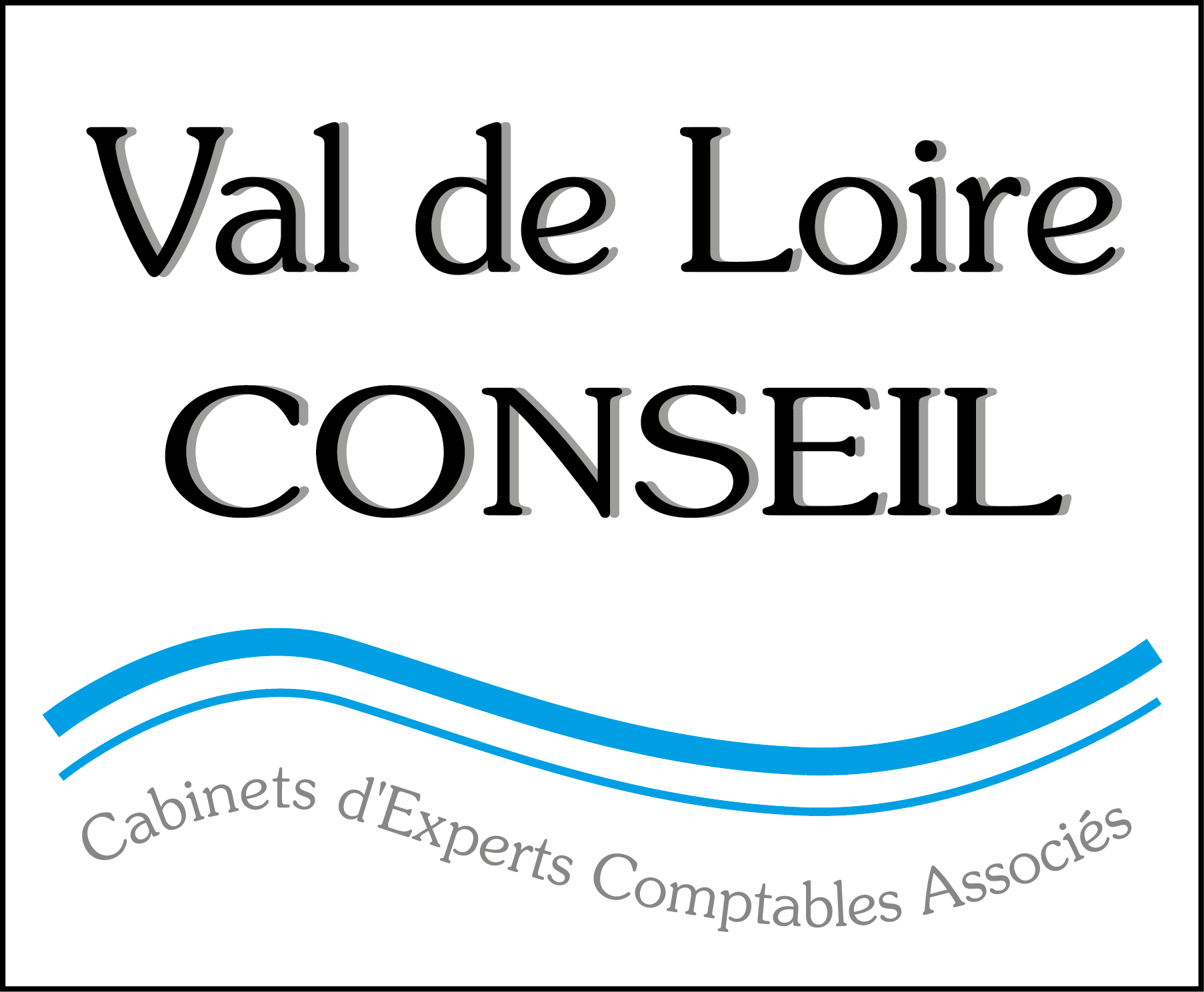 Logo Val de Loire Conseil
